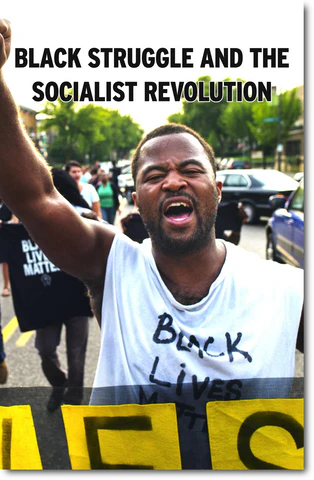 Black struggle and the Socialist Revolution