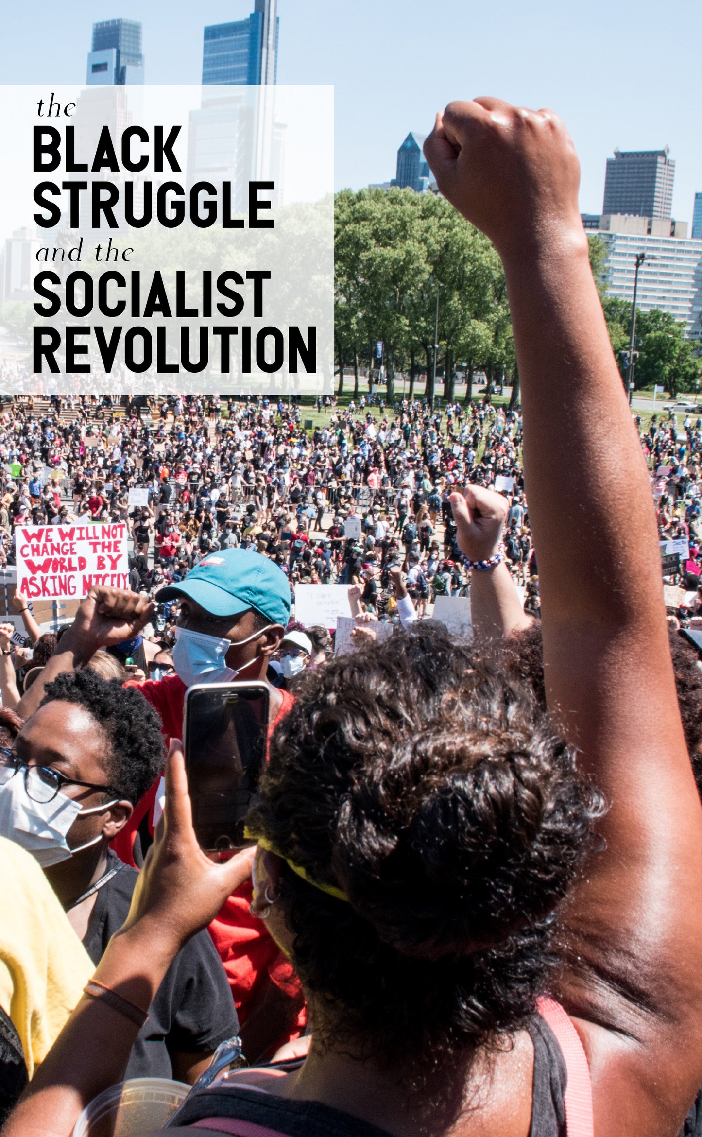 Black Struggle and the Socialist Revolution