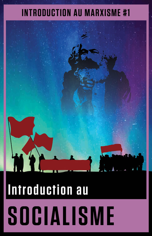 Introduction au marxisme #1: Introduction au socialisme